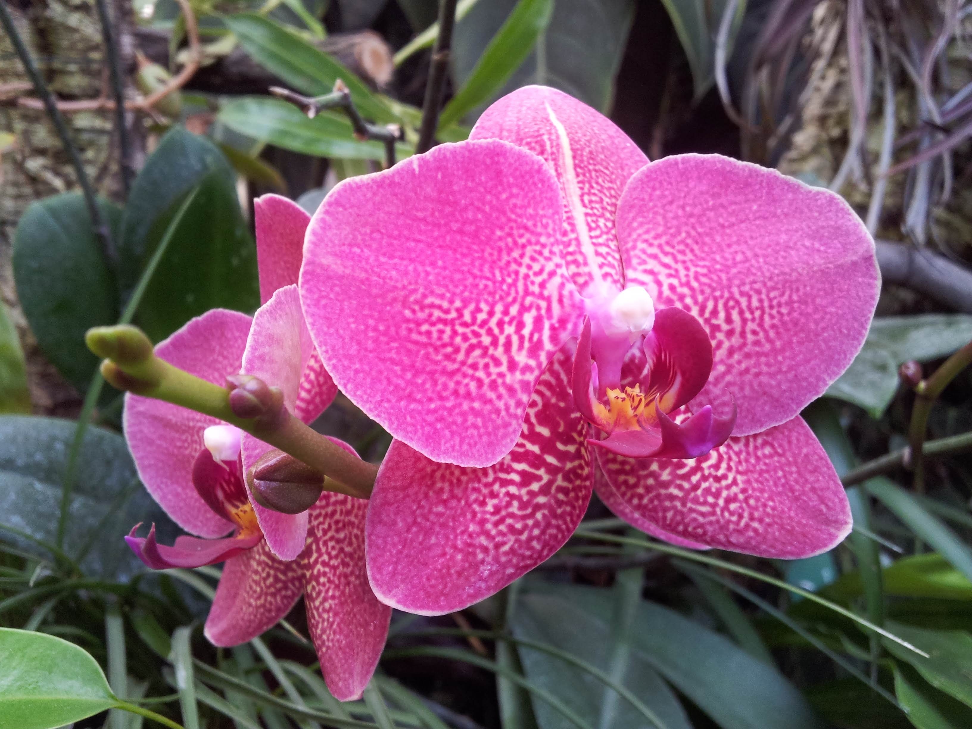 Wycieczka Szkolna 1-dzień - Zabrze, Gliwice | Berg-Travel