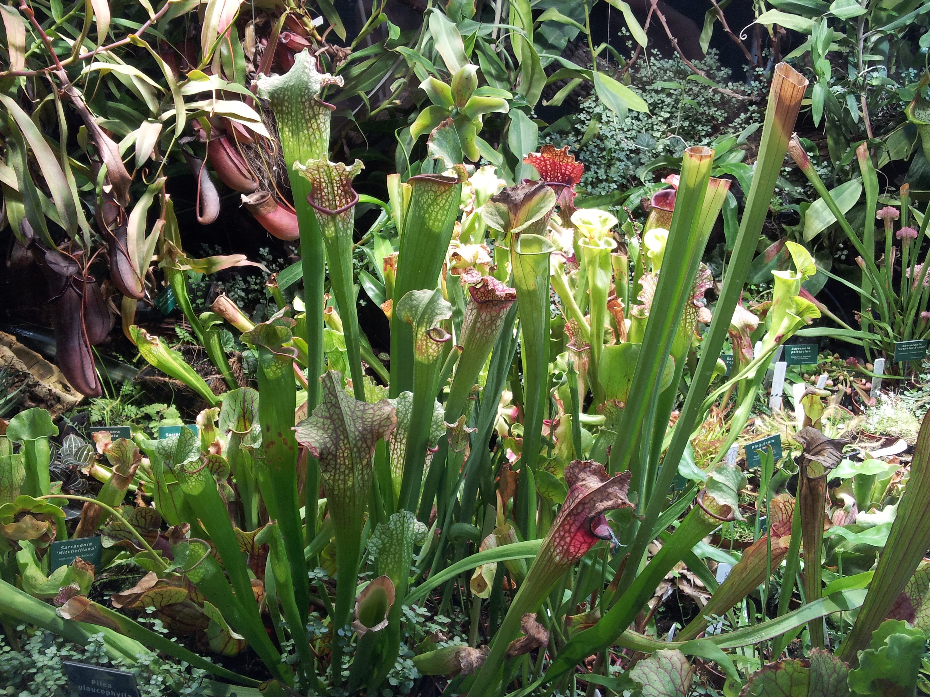 Wycieczka Szkolna 1-dzień - Zabrze, Gliwice | Berg-Travel