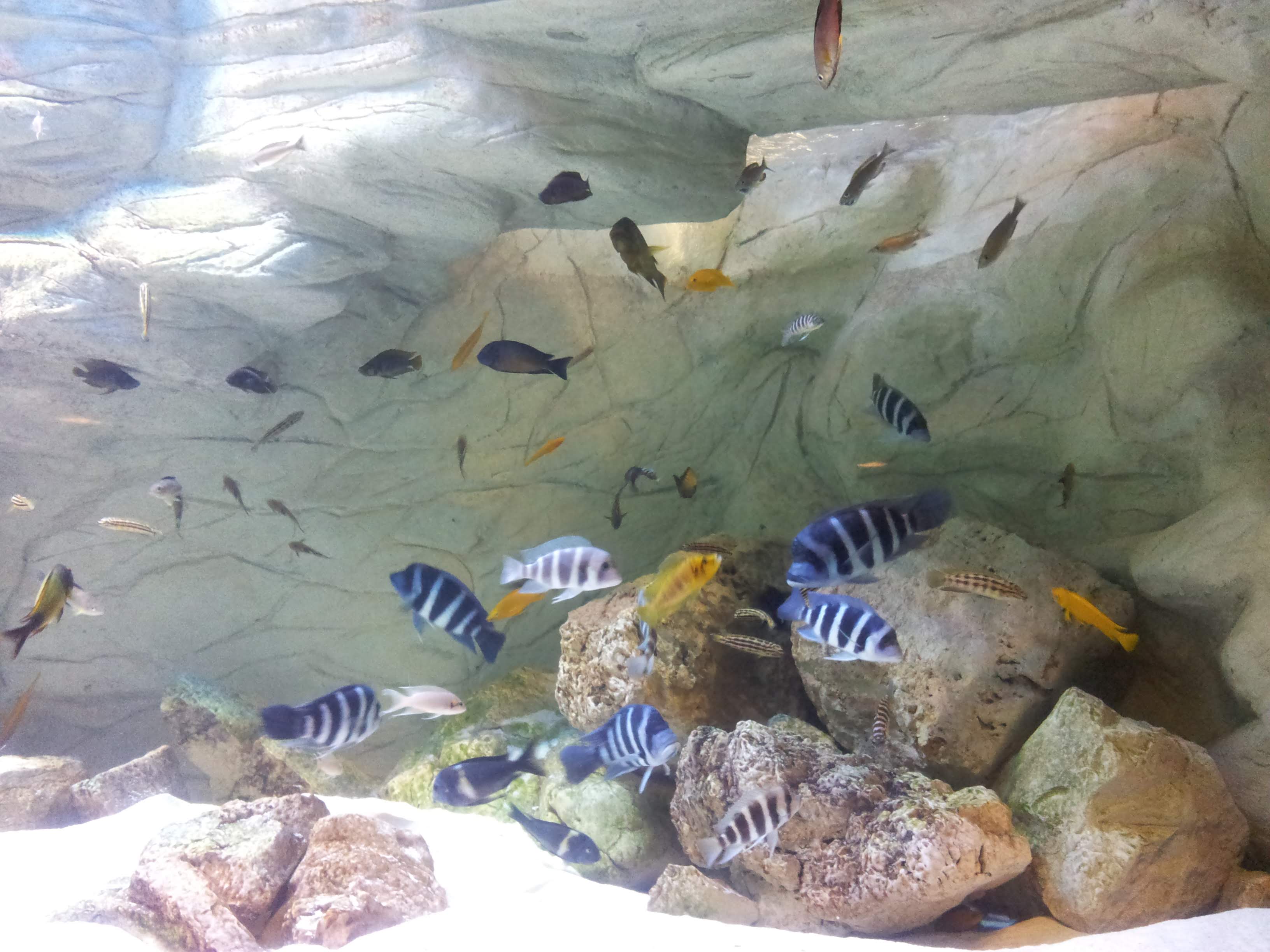 Wycieczka Szkolna 1-dzień - Zabrze, Gliwice | Berg-Travel