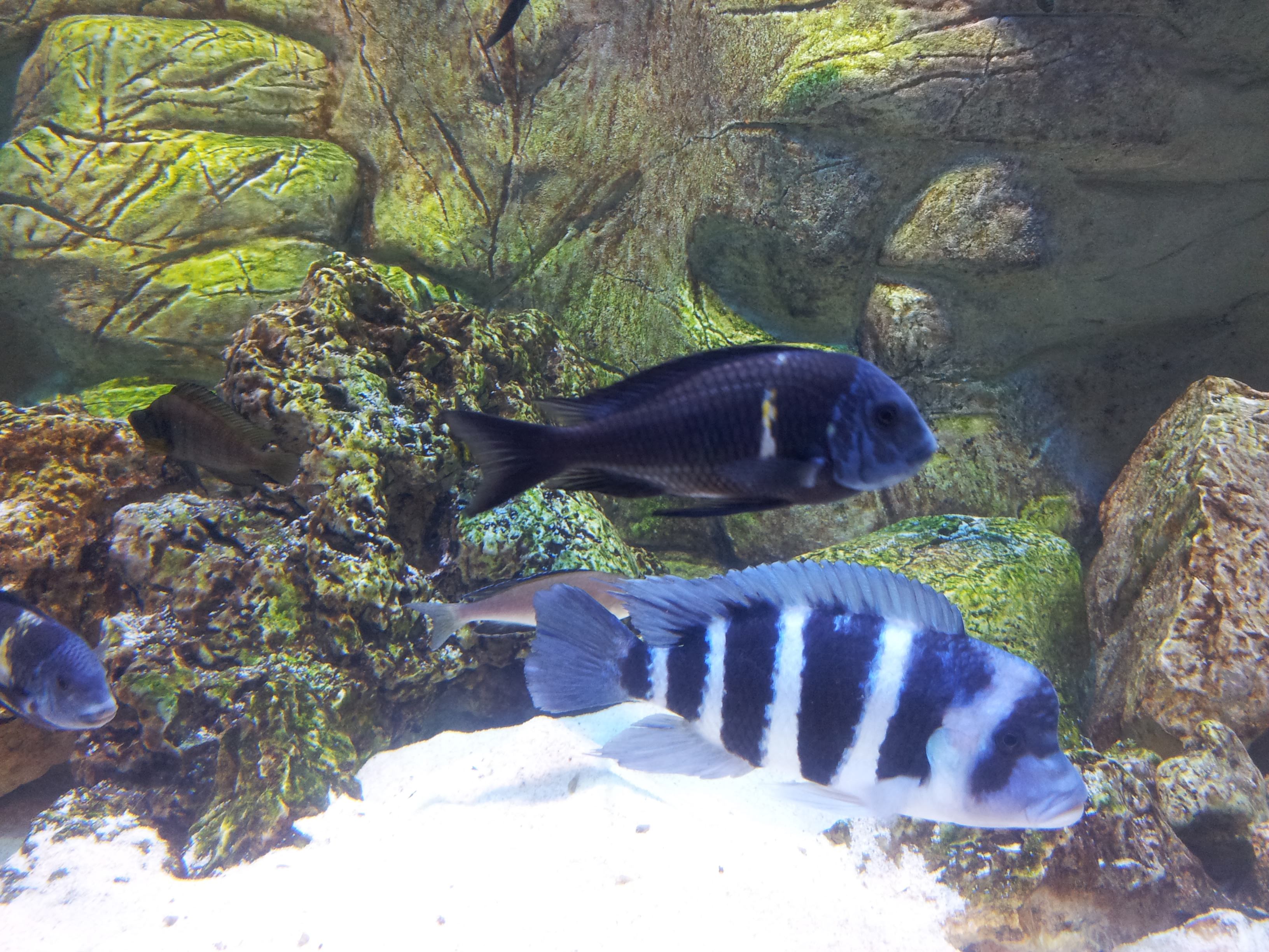 Wycieczka Szkolna 1-dzień - Zabrze, Gliwice | Berg-Travel