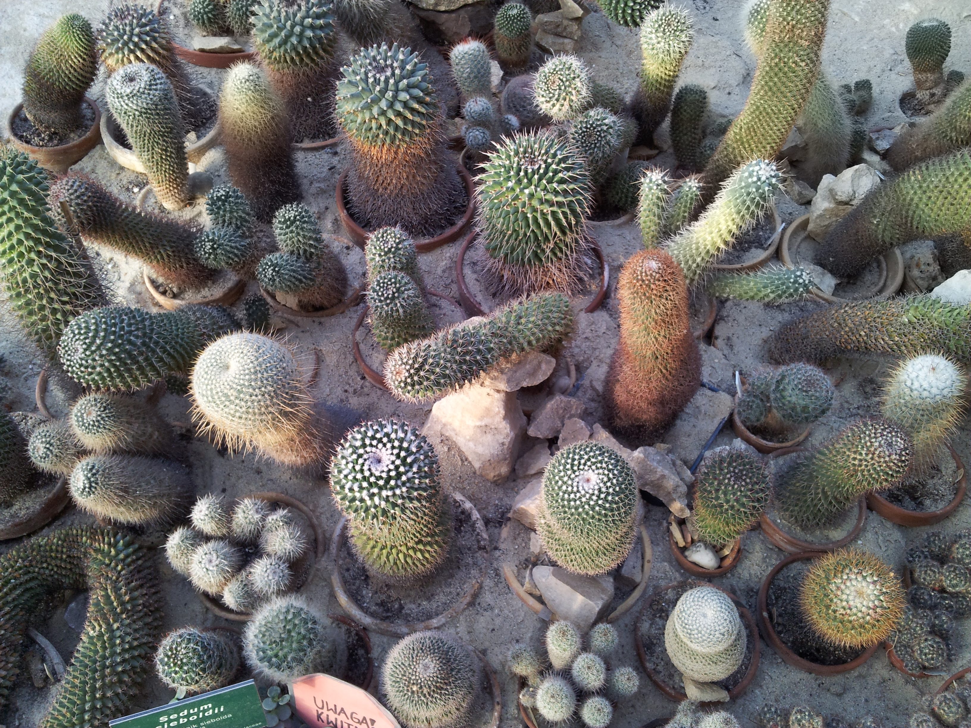 Wycieczka Szkolna 1-dzień - Zabrze, Gliwice | Berg-Travel