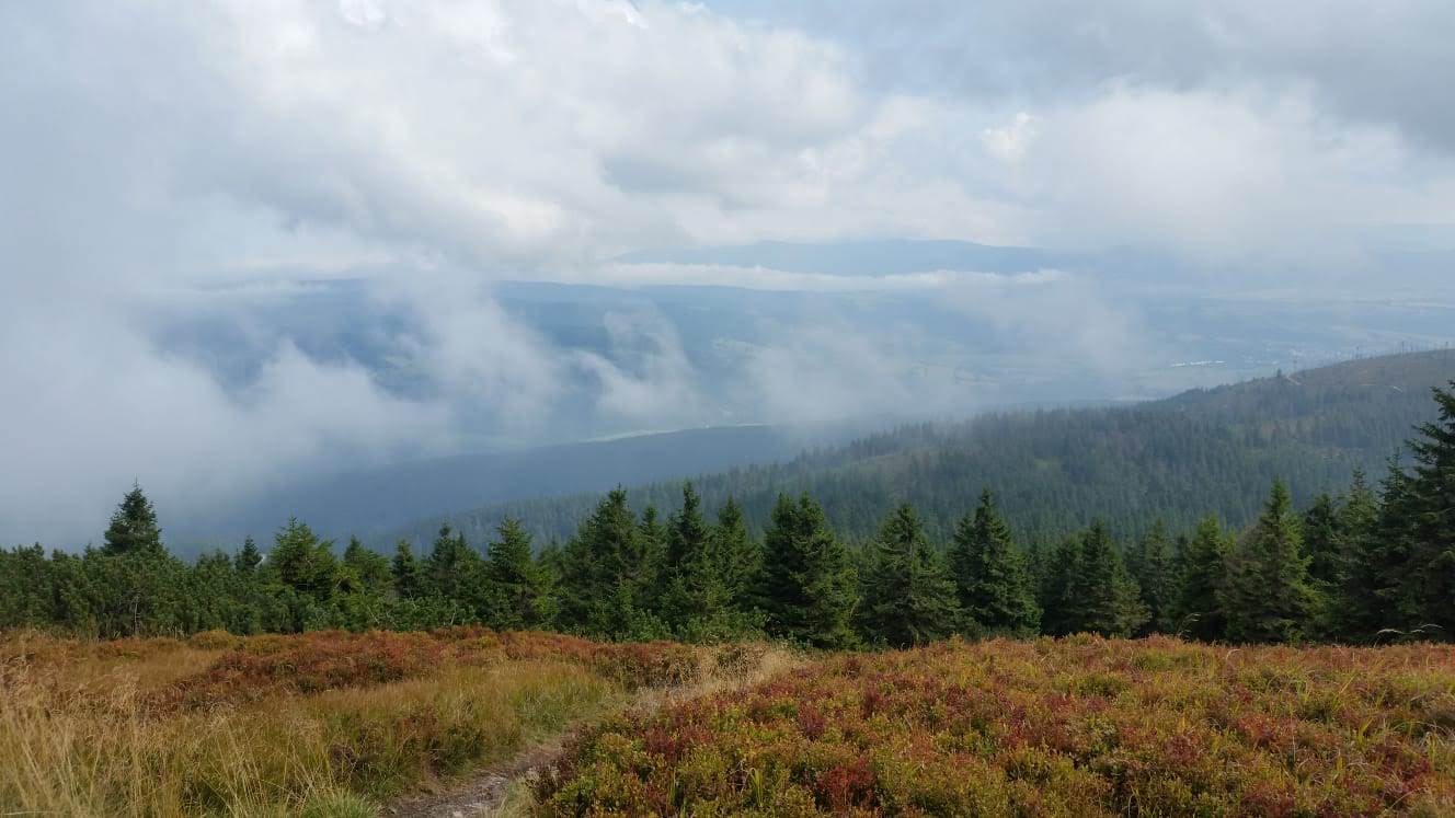 694afd01-77d0-49e9-af24-705f301b0f6b Wycieczka Szkolna 2-dni - Pieniny | Berg-Travel