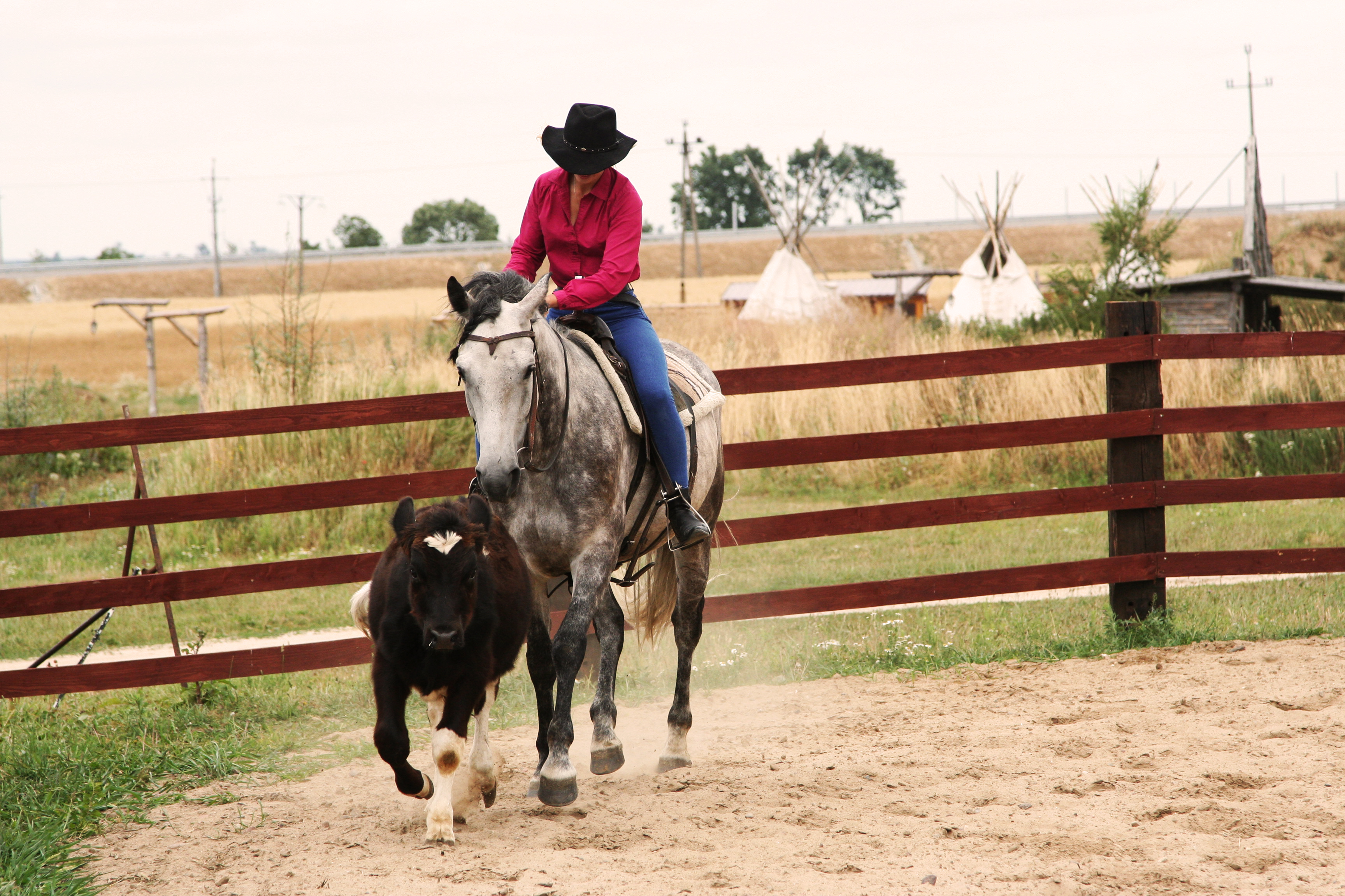 IMG_2322 Wycieczka Szkolna 2-dni - Pałuki | Berg-Travel