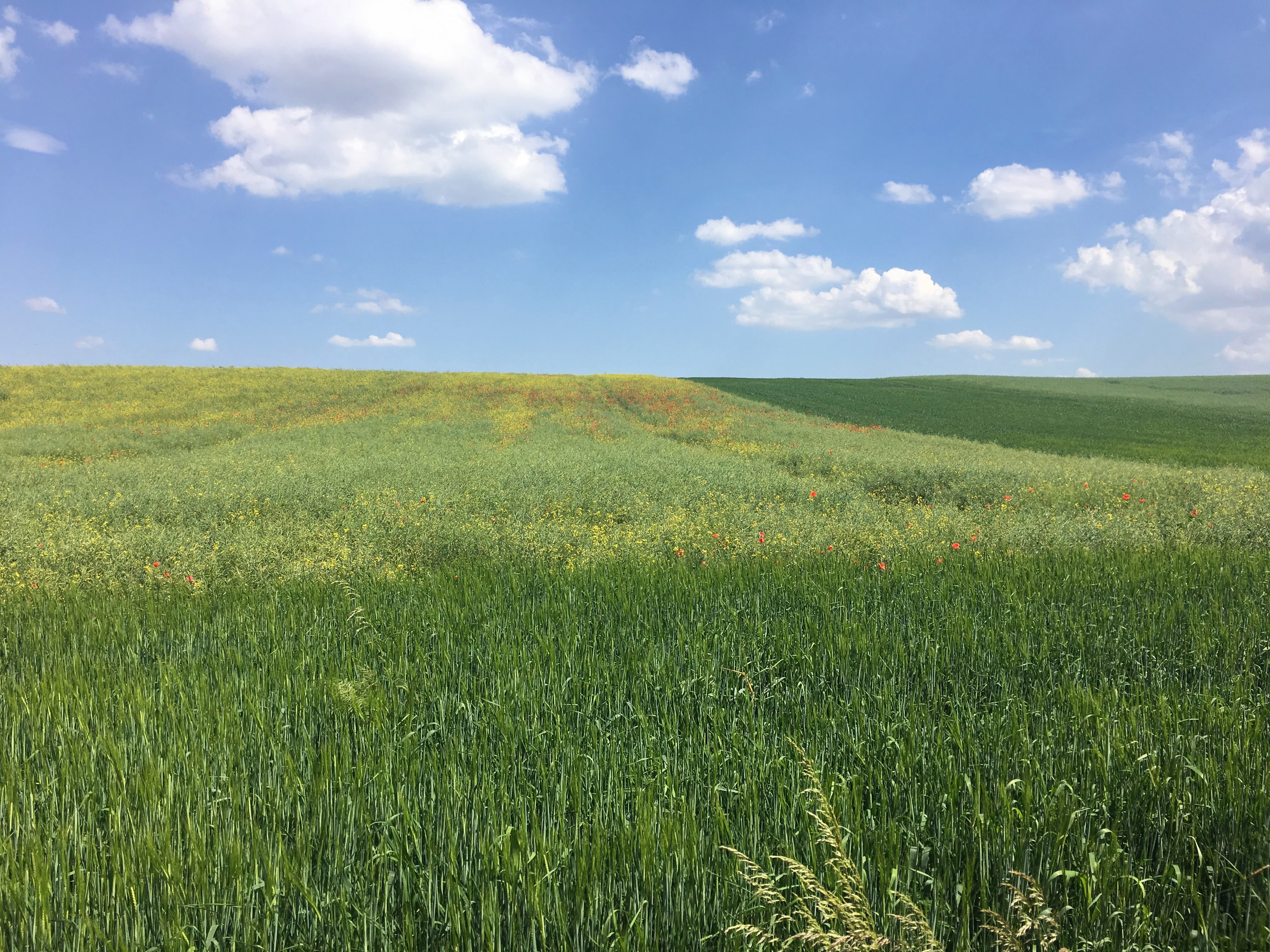 IMG_3237 Wycieczka Szkolna 2-dni - Pałuki | Berg-Travel