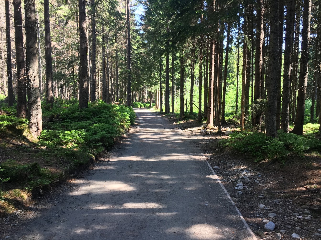 Wycieczka Szkolna 3-dni - Zakopane + Kraków | Berg-Travel